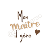 mon maitre il gere