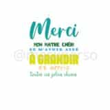Objet personnalisable merci pour maître : Porte clé "merci mon maître chéri" – Image 2