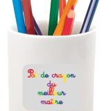 Cadeau personnalisable merci pour maître : Pot de crayon "le meilleur maître"