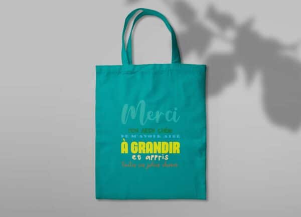 Sac en toile turquoise mon AESH chéri