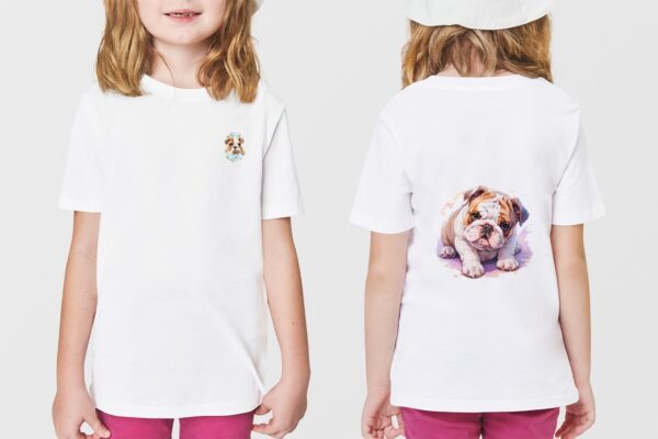 Bulldog Anglais – Image 40