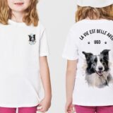 Border Collie – Image 2