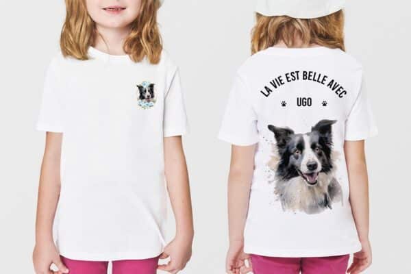 Border Collie – Image 2