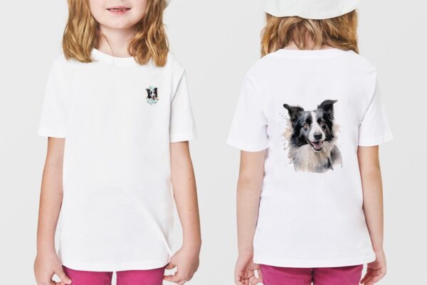 Border Collie – Image 43