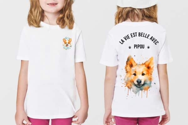 Corgi kawaii
