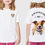 Jack Russel – Image 2