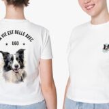 Border Collie – Image 40
