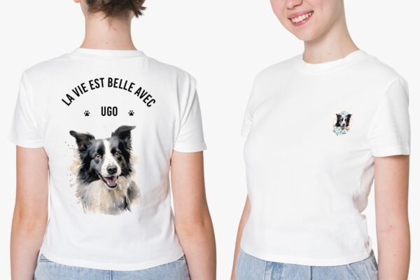 Border Collie – Image 40