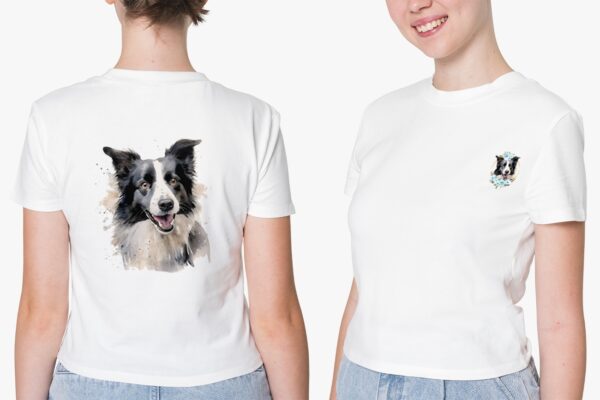 Border Collie – Image 39