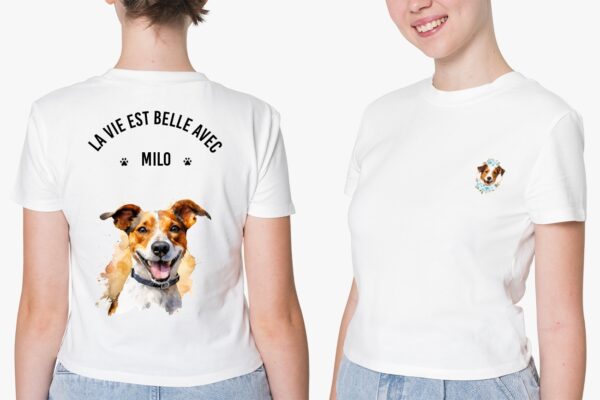 Jack Russel – Image 37