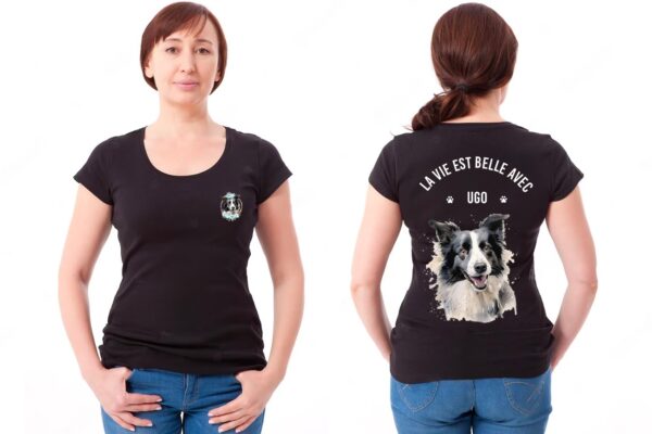 Border Collie – Image 38