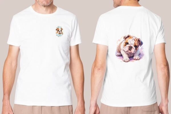 Bulldog Anglais – Image 33