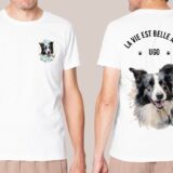 Border Collie – Image 36