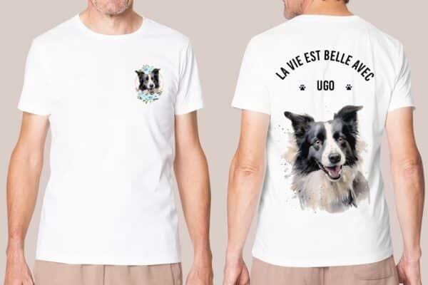 Border Collie – Image 36