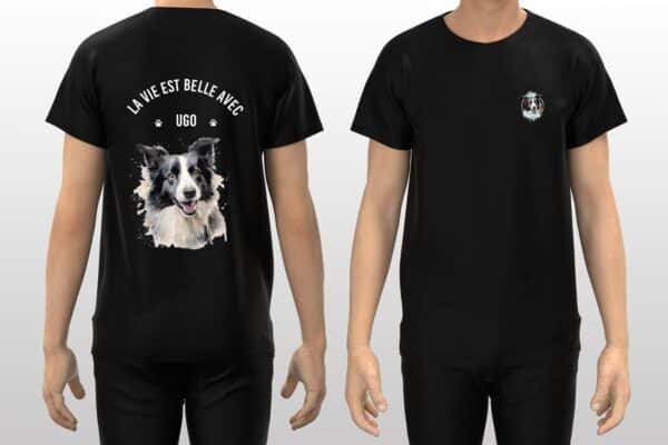 Border Collie – Image 34