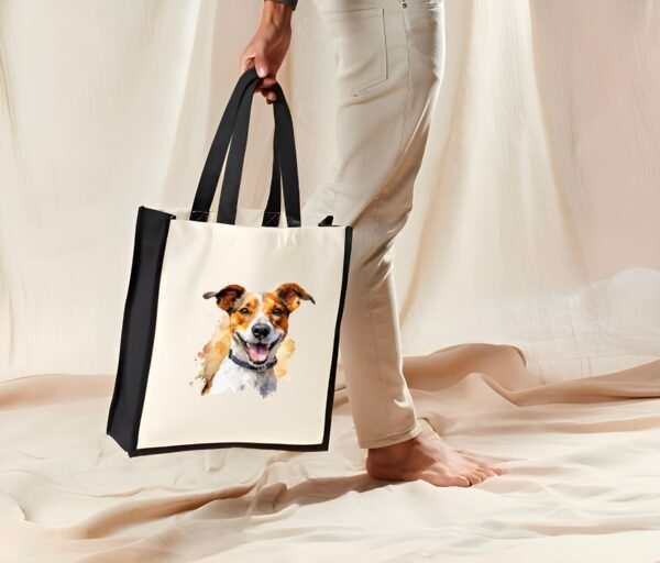 Jack Russel – Image 28