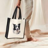 Border Collie – Image 31