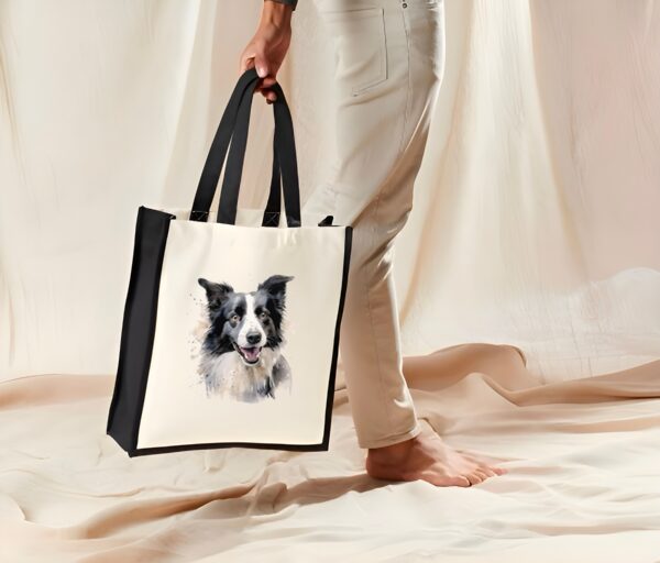 Border Collie – Image 31