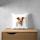 Jack Russel – Image 26