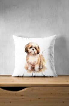 Shih tzu chien