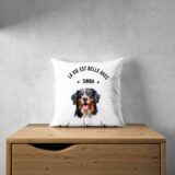 Bouvier Bernois Accessoires – Image 30