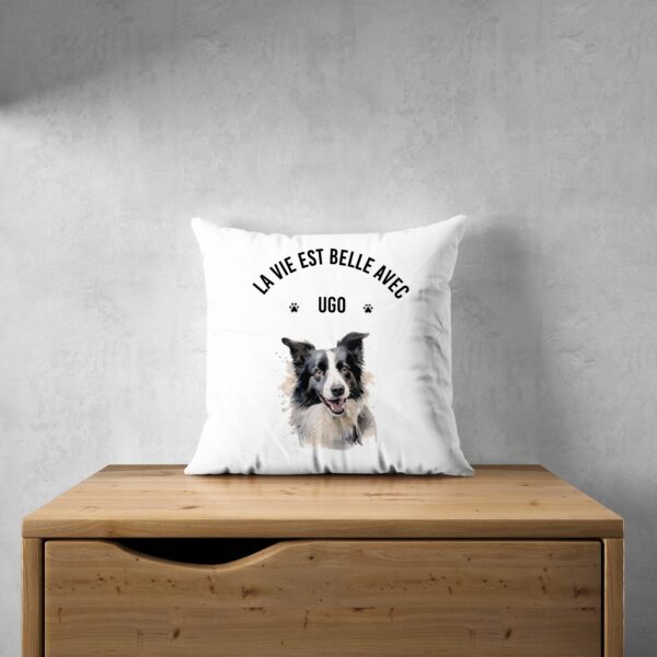 Border Collie – Image 30