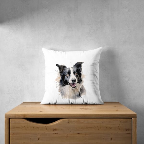 Border Collie – Image 29