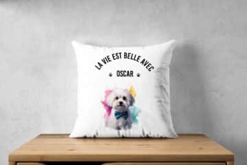 Bichon d'amour
