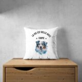 Berger Australien chien – Image 29