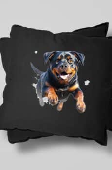 Rotweiller chien