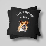 Jack Russel – Image 25