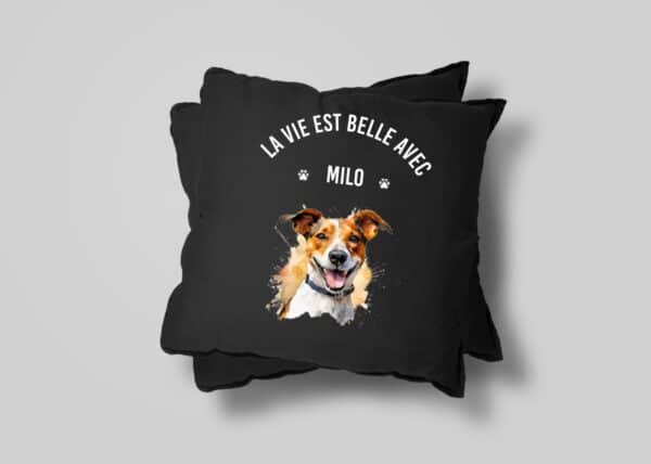 Jack Russel – Image 25
