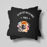 Chow chow chien – Image 28