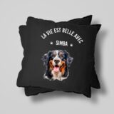 Bouvier Bernois Accessoires – Image 27