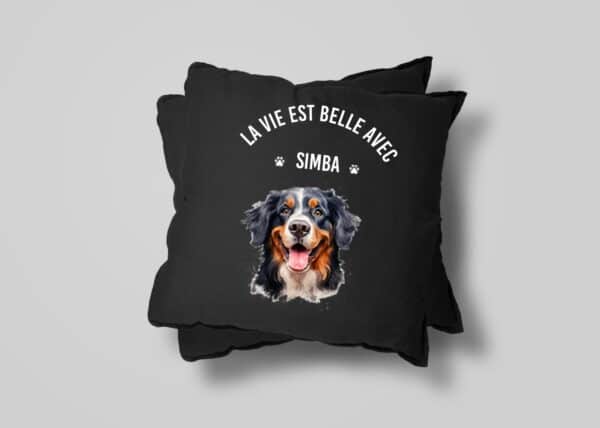 Bouvier Bernois Accessoires – Image 27