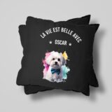 Bichon d'amour – Image 29