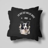 Border Collie – Image 28
