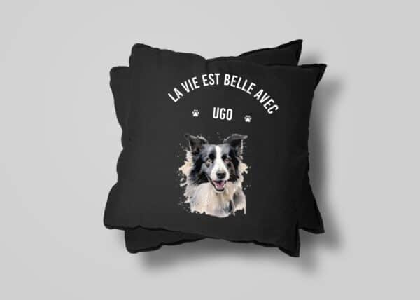 Border Collie – Image 28