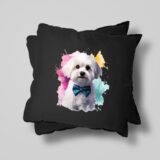 Bichon d'amour – Image 28