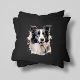 Border Collie – Image 27