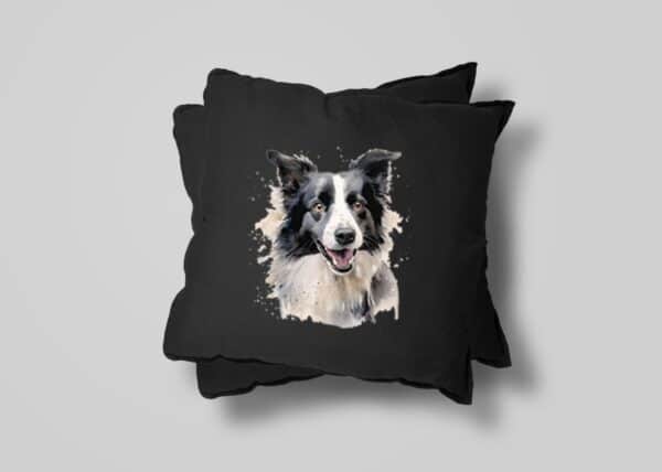 Border Collie – Image 27