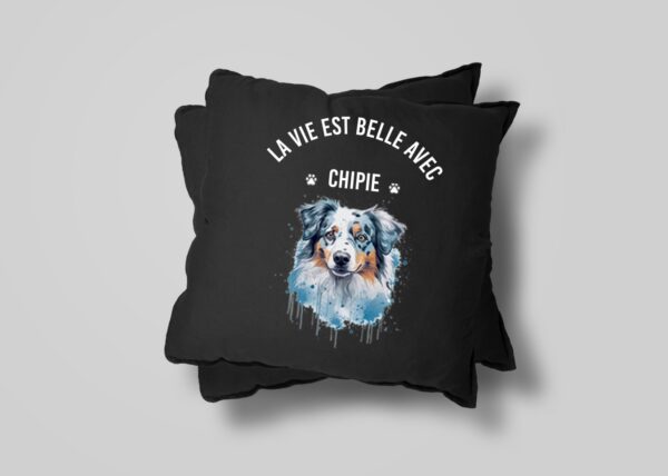 Berger Australien chien – Image 27