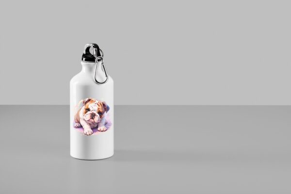 Bulldog Anglais – Image 24