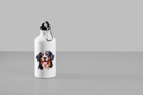 Bouvier Bernois Accessoires – Image 25