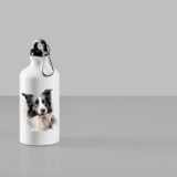 Border Collie – Image 25