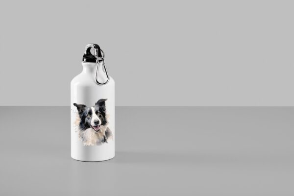 Border Collie – Image 25