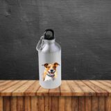 Jack Russel – Image 22