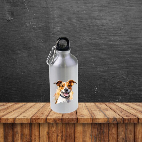 Jack Russel – Image 22