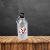 Bulldog Anglais – Image 22