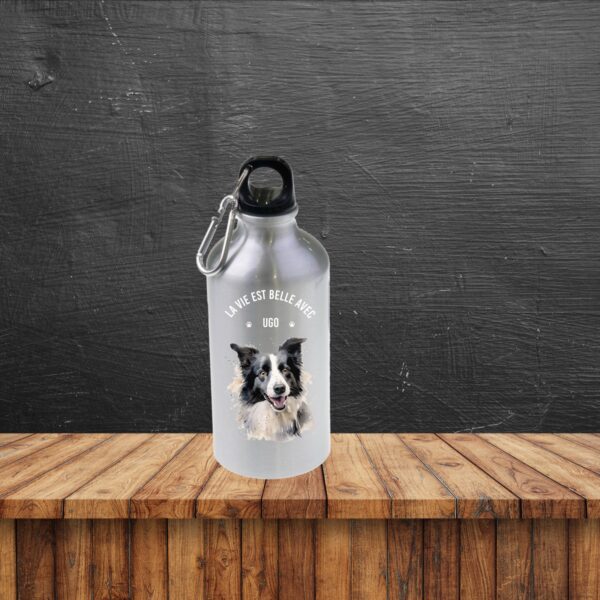 Border Collie – Image 24